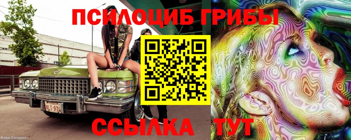 Псилоцибиновые грибы Magic Shrooms  Псилоцибиновые грибы Magic Shrooms  Чайковский  Вход с VPN 